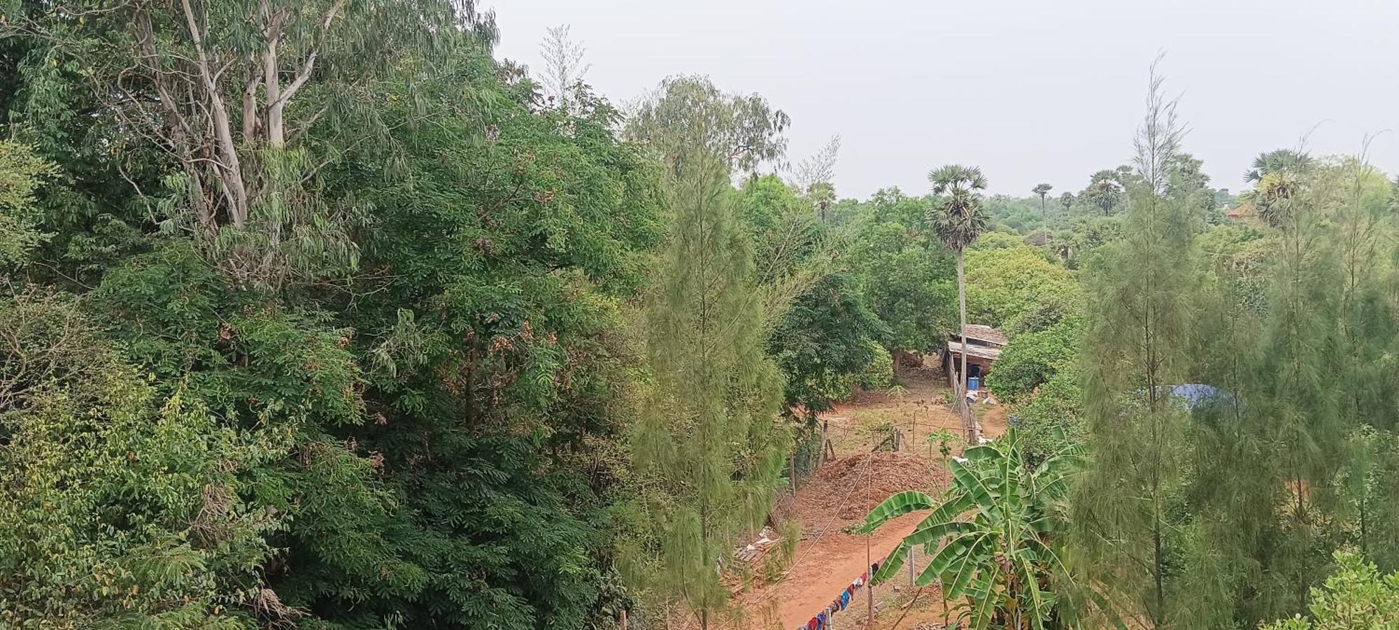 Hotel Travellers Crib Auroville Exterior foto