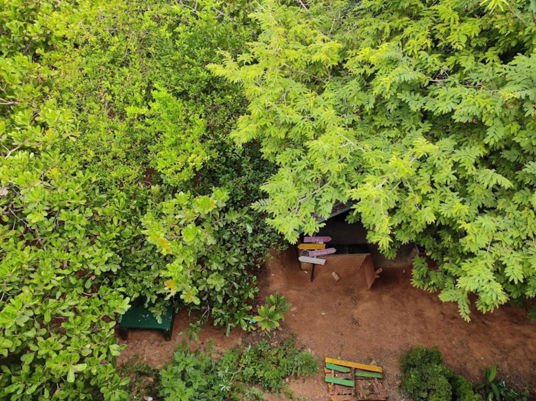 Hotel Travellers Crib Auroville Exterior foto