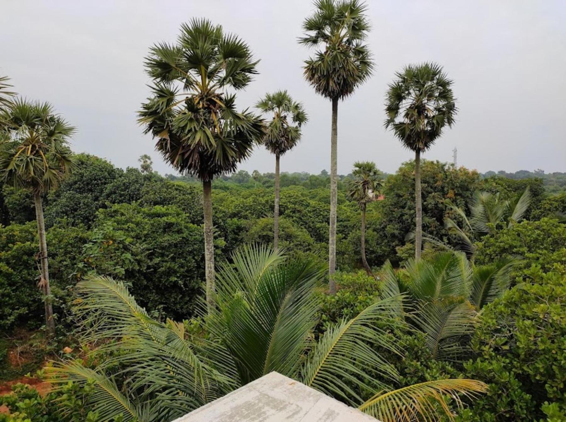 Hotel Travellers Crib Auroville Exterior foto