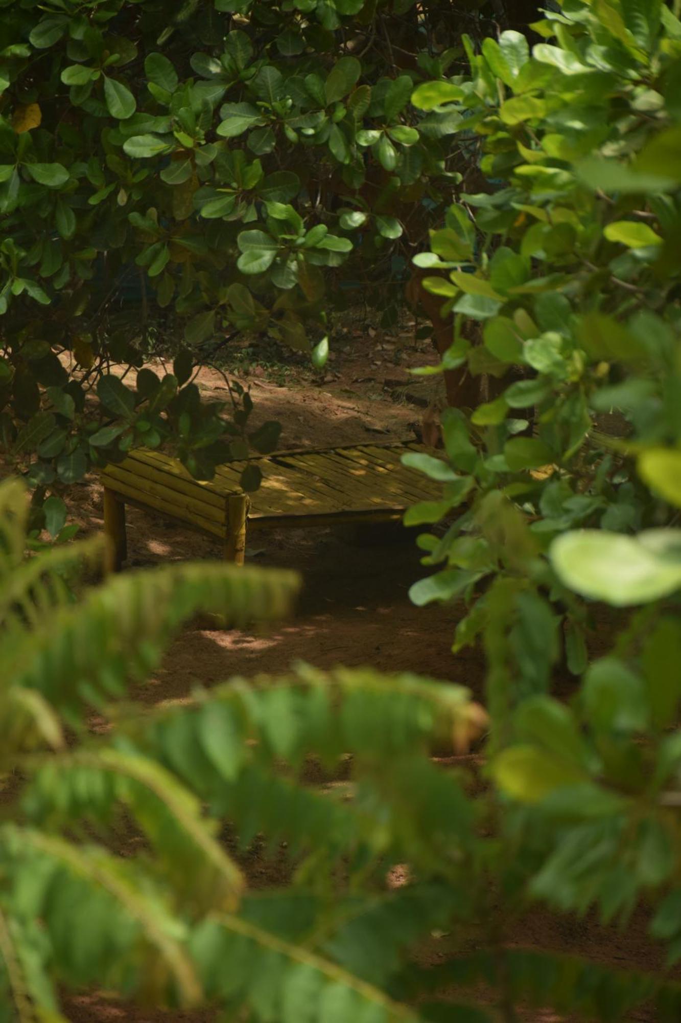 Hotel Travellers Crib Auroville Exterior foto