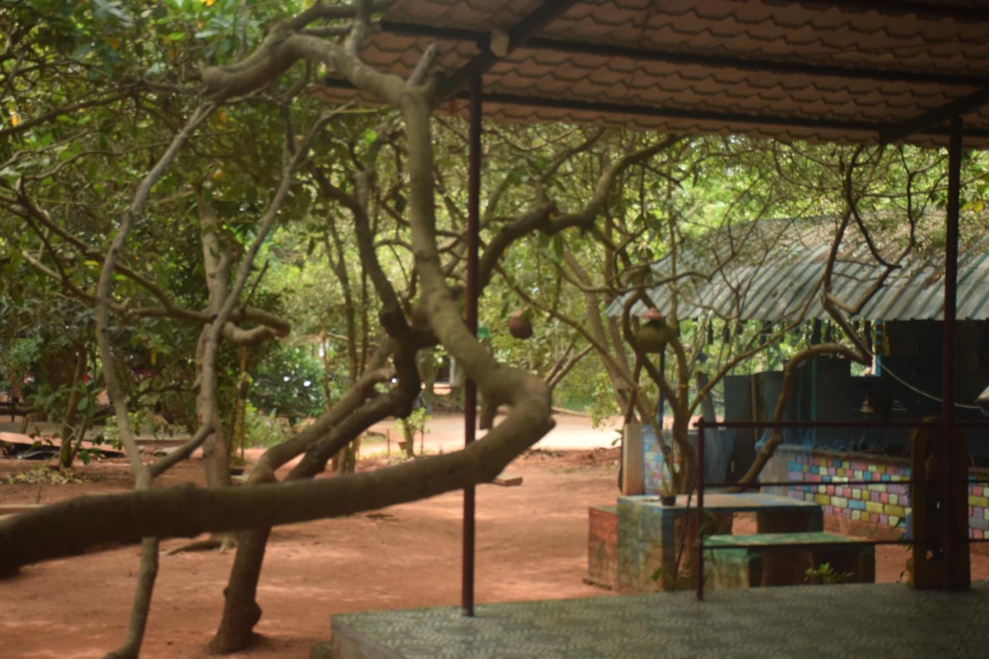 Hotel Travellers Crib Auroville Exterior foto
